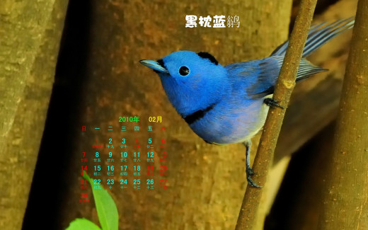 484638 (a): :1920x1200
